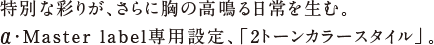 ���ʂȍʂ肪�A����ɋ��̍������𐶂ށB���EMaster label��p�ݒ�A�u2�g�[���J���[�X�^�C���v�B