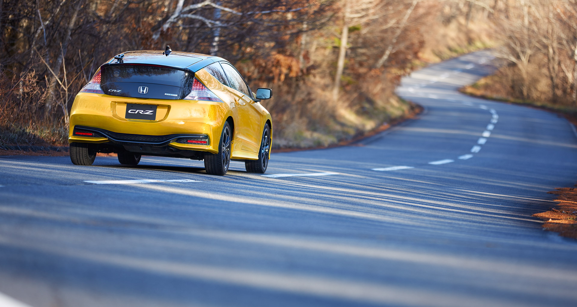 2tone Color Style�@�v���~�A���C�G���[�E�p�[��Ⅱ��Honda CR-Z
