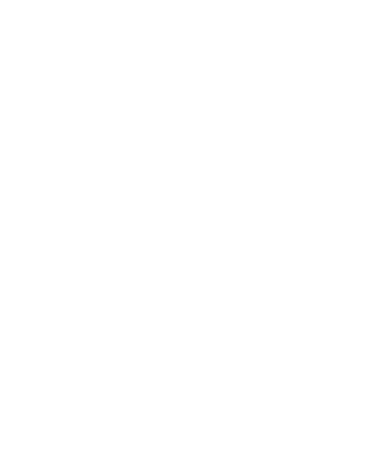 ���l�b�T���X�̋C�T�B