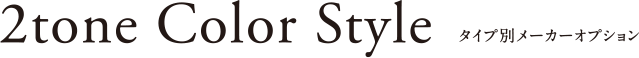 2tone Color Style�i�^�C�v�ʃ��[�J�[�I�v�V�����j
