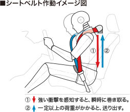■シートベルト作動イメージ図