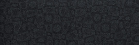 �C���e���A�J���[�F�u���b�N