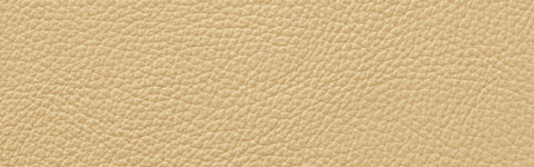 �V�[�g�J���[�F�L�������i�{�v�j