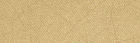 �V�[�g�J���[�F�L�������i�V���L�[�g���R�b�g�j