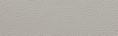 �V�[�g�J���[�F�O���[�W���i�{�v�j