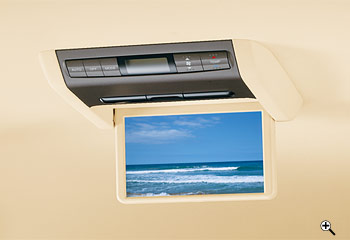 9�C���`���C�h�f�B�X�v���C