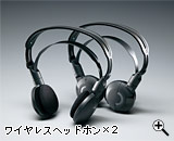 ���C�����X�w�b�h�z���~2