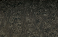 �ؖڒ��p�l���i�u���L�b�V���o�[�`�j