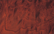 �ؖڒ��p�l���i�I���[�u�u���E���j