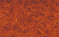 �ؖڒ��p�l���i�o�[�`�C�G���[�j