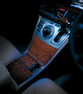 �u���[�C���~�l�[�V����