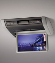 9�C���`���C�h�f�B�X�v���C