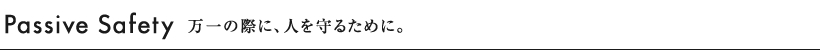 Passive Safety�@����̍ۂɁA�l����邽�߂ɁB