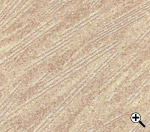 1.5W �x�[�W��