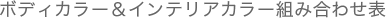 �{�f�B�J���[&�C���e���A�J���[�g�ݍ��킹�\