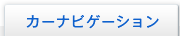 �J�[�i�r�Q�[�V����
