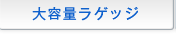 ��e�ʃ��Q�b�W