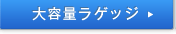 ��e�ʃ��Q�b�W
