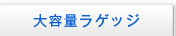 ��e�ʃ��Q�b�W