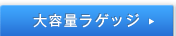 ��e�ʃ��Q�b�W