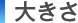 �傫��