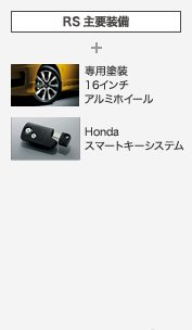 RS��v����