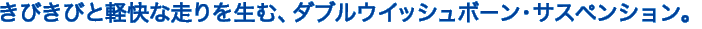 ���т��тƌy���ȑ���𐶂ށA�_�u���E�C�b�V���{�[���E�T�X�y���V�����B