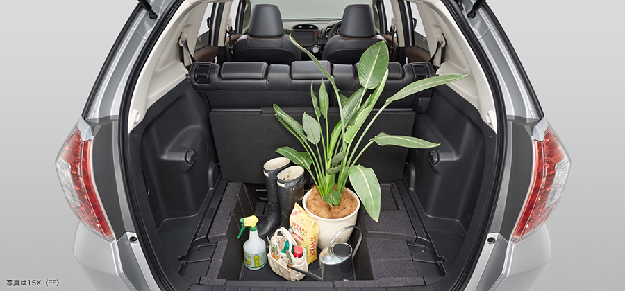 �w�̍�������ύ� �ʐ^��15X�iFF�j