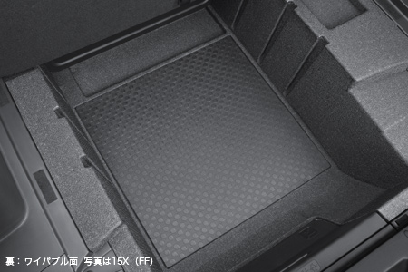 ���F���C�p�u���ʁ@�ʐ^��15X�iFF�j