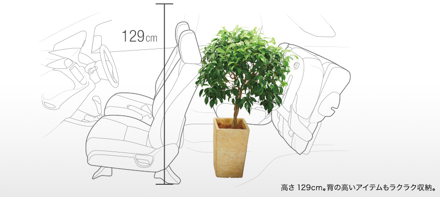 ����129cm�B�w�̍����A�C�e�������N���N���[�B