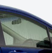 �t�����g�h�A�����K���X