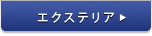 �G�N�X�e���A