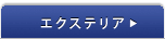 �G�N�X�e���A