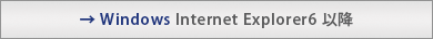 �� Windows Internet Explorer6 �ȍ~