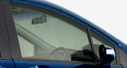 �t�����g�h�A�����K���X