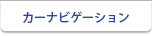 �J�[�i�r�Q�[�V����