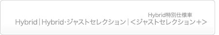 Hybrid / Hybrid�E�W���X�g�Z���N�V���� / Hybrid���ʎd�l�ԁ��W���X�g�Z���N�V�����{��