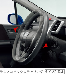 �e���X�R�s�b�N�X�e�A�����O