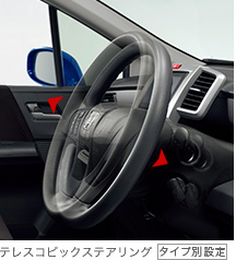 �e���X�R�s�b�N�X�e�A�����O