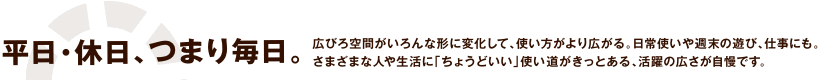 平日・休日、つまり毎日。 広びろ空間がいろんな形に変化して、使い方がより広がる。日常使いや週末の遊び、仕事にも。 さまざまな人や生活に「ちょうどいい」使い道がきっとある、活躍の広さが自慢です。