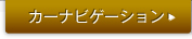 �J�[�i�r�Q�[�V����