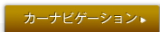 �J�[�i�r�Q�[�V����