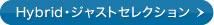 Hybrid�E�W���X�g�Z���N�V����