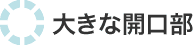 �傫�ȊJ����