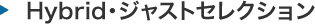 Hybrid�E�W���X�g�Z���N�V����