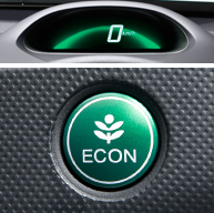 �G�R�A�V�X�g