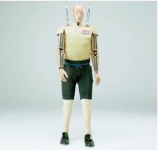 ���s�҃_�~�[�l�`