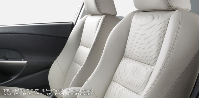 �C���T�C�g �G�N�X�N���[�V�u 5