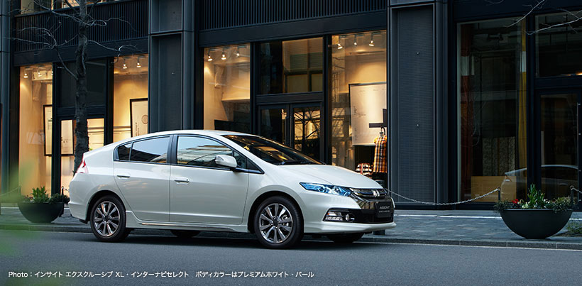 �C���T�C�g �G�N�X�N���[�V�u 1