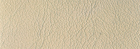 �V�[�g�f�ށ��J���[�@�{�v/�A�C�{���[